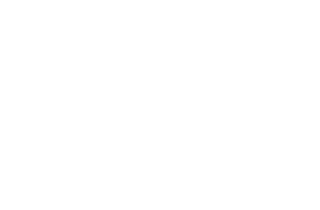 logo zarka en blanco